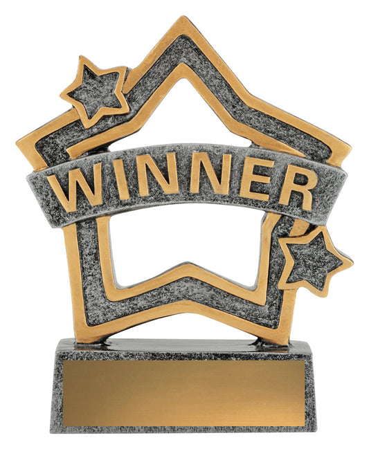 Rally Mini Star - Winner