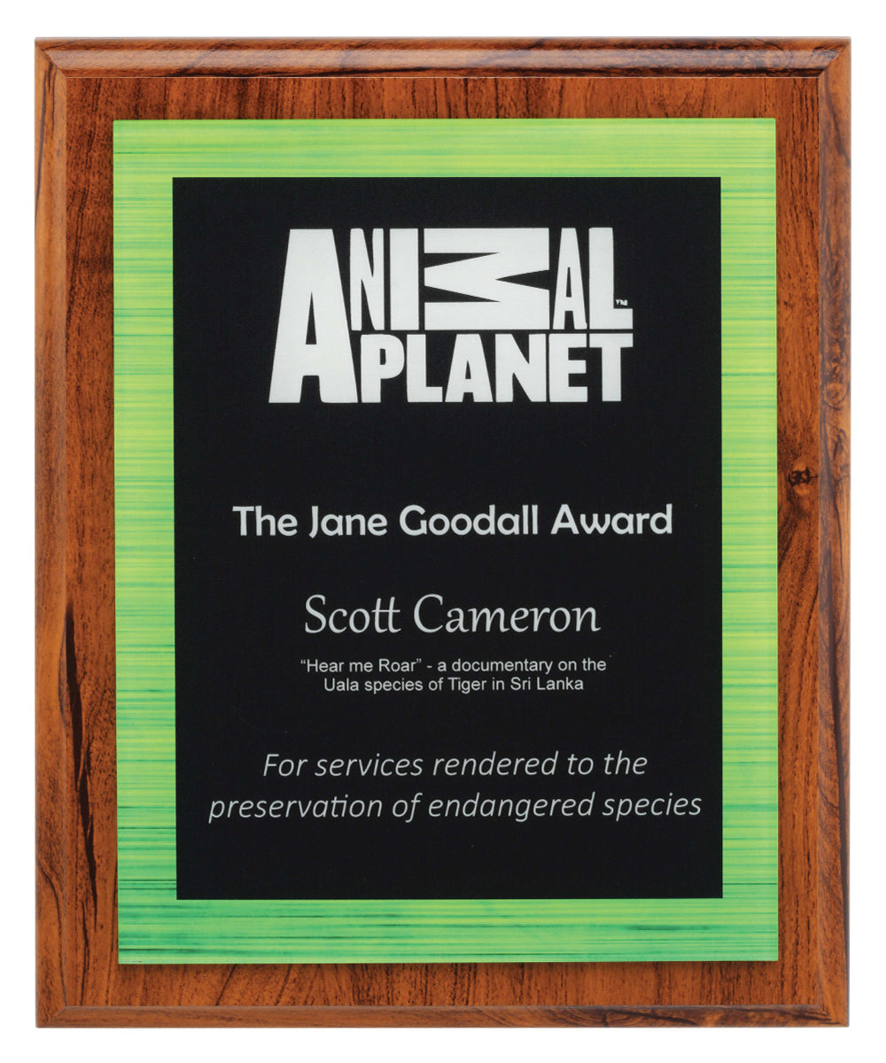 Vivid Green Plaque