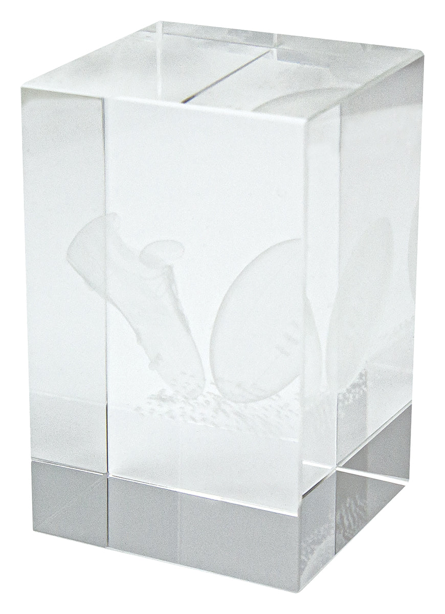 Crystal Block Award