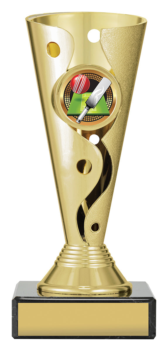 Carnival Cup - Cricket
