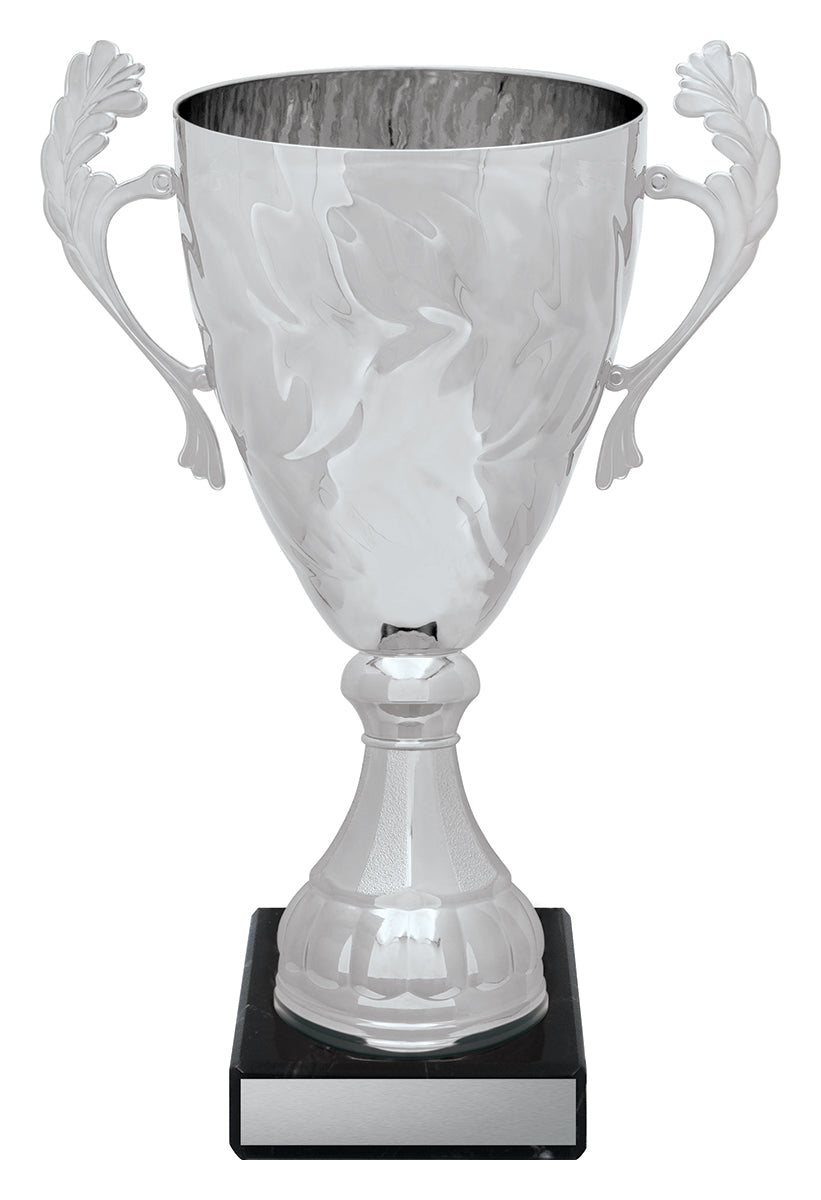 Silver Eternal Cups