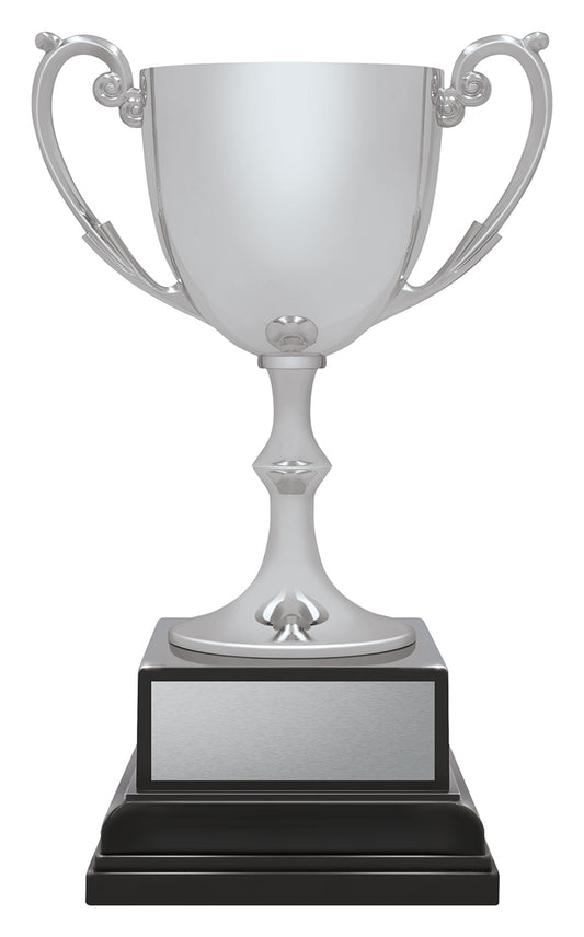 Ace Recognition Silver