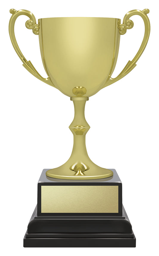 Ace Recognition Gold