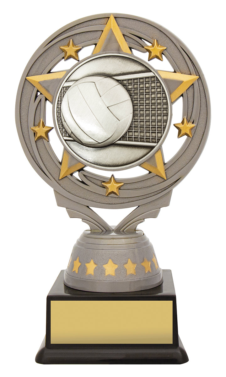 Silver Volleyball Torch