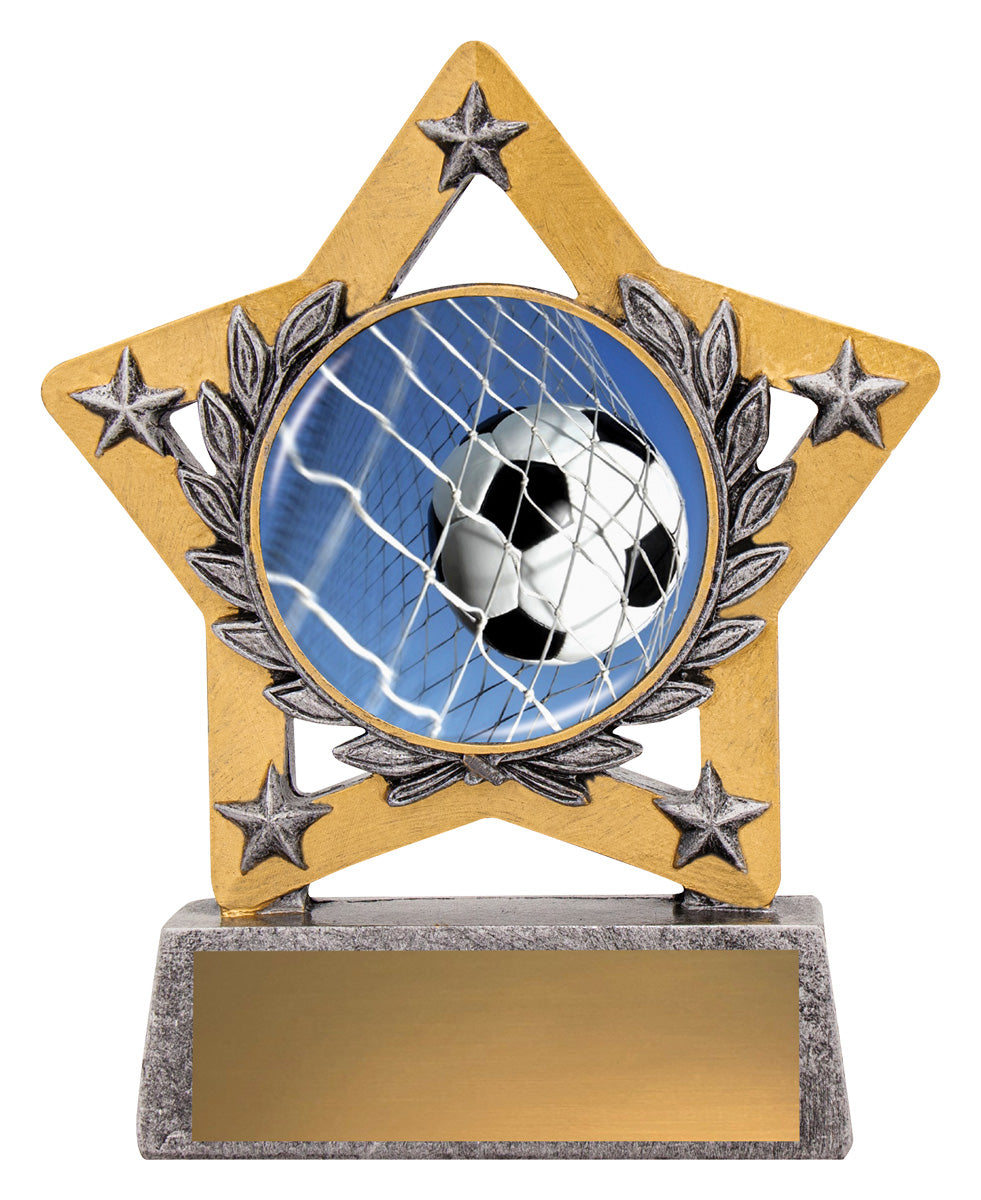 Mini Star Colour - Ball in Net