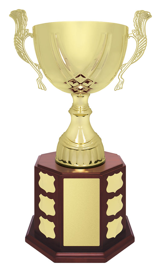 Ensign Cup