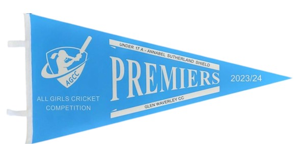 Felt triangular pennants with full colour sublimation printing.