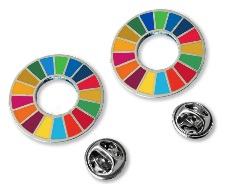 SDG lapel Pin
