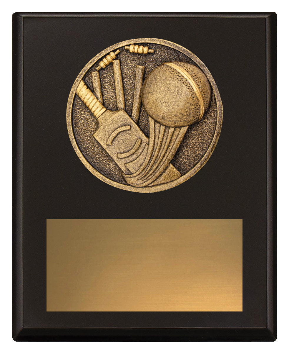 Challenge Plaque - Cricket