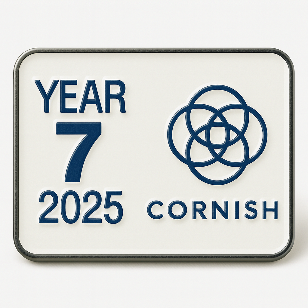 Enamel lapel pins for schools
