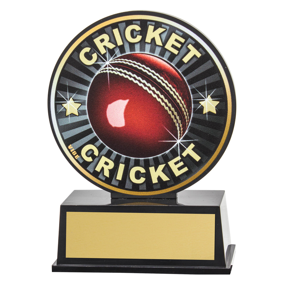 Vibe Cricket
