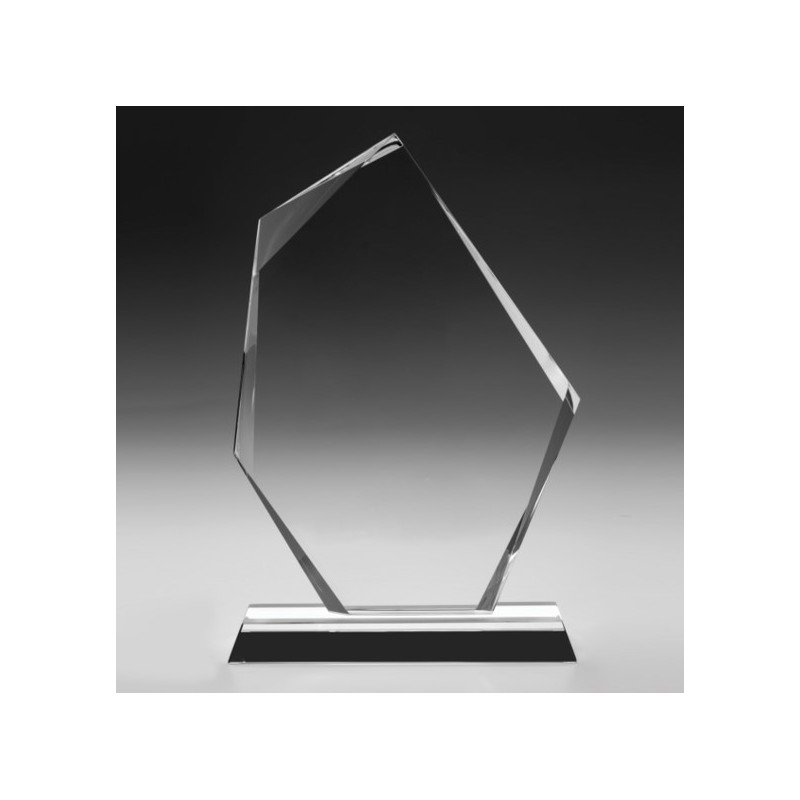ACRYLIC ABSTRACT TROPHY