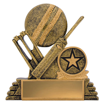Cricket Budget Icon