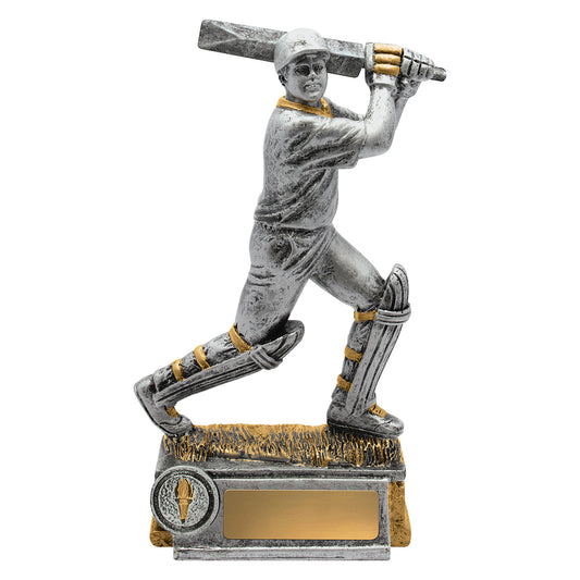 Cricket Batsman