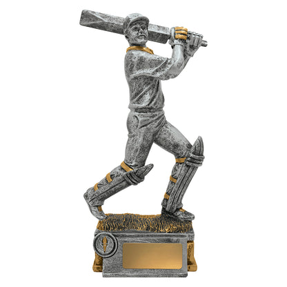 Cricket Batsman