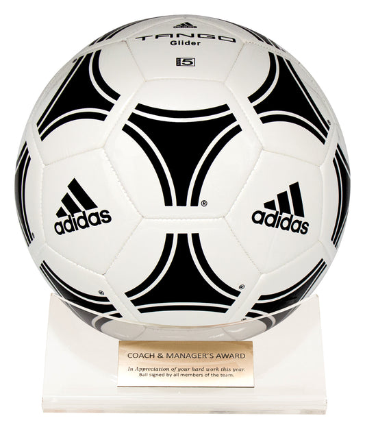 Acrylic Ball Holder