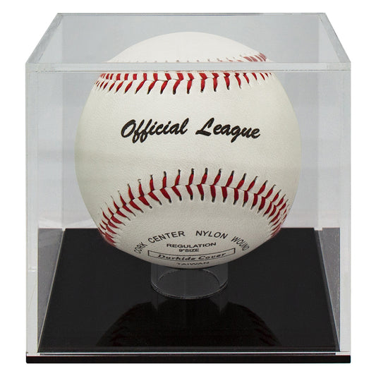 Baseball Ball Case