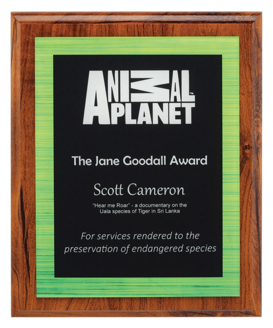 Vivid Green Plaque