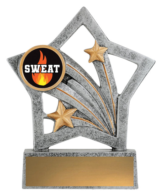 Flash - Sweat Training