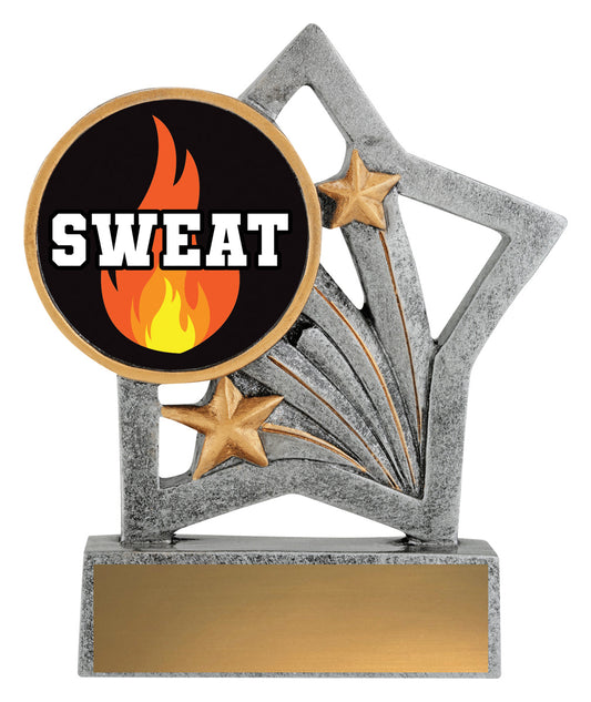 Flash - Sweat Training