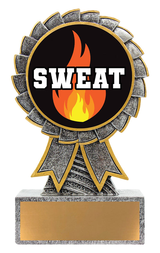 Aster - Sweat Training