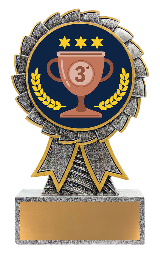 Aster - 3rd Place
