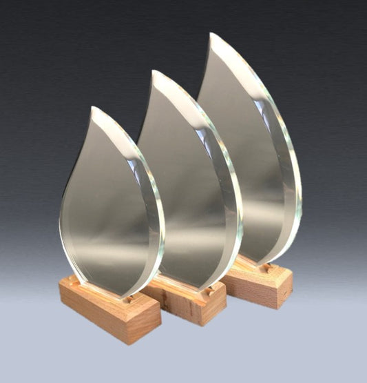 Glass And Wood Flame Trophy