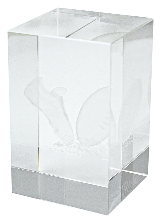 Crystal Block Award