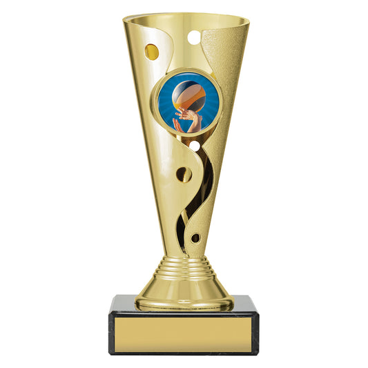 Volleyball Aspire Carnival Cup
