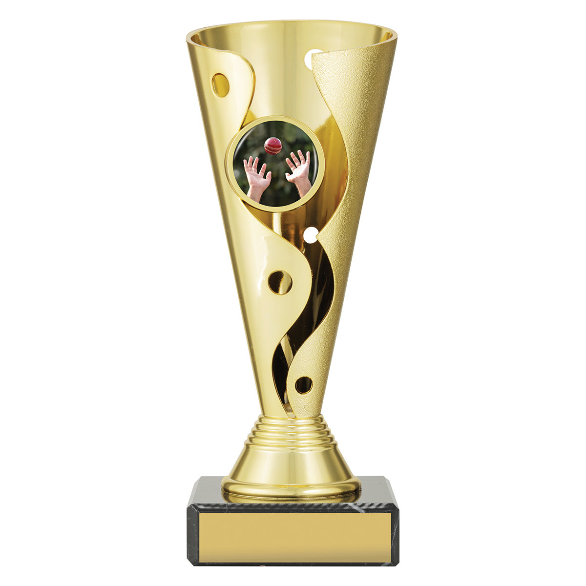 Fielding Carnival Cup