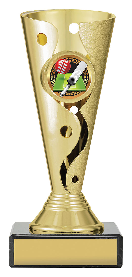 Carnival Cup - Cricket