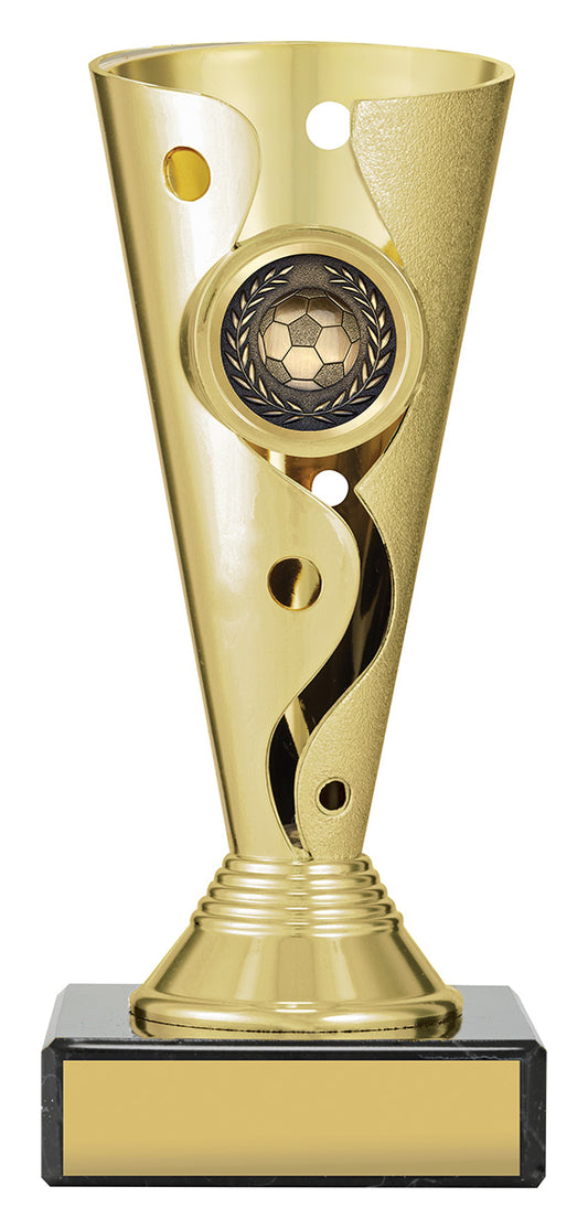 Carnival Cup - Football / Soccer