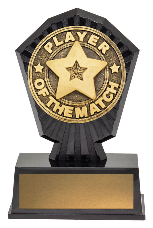Super Mini - Player of the Match