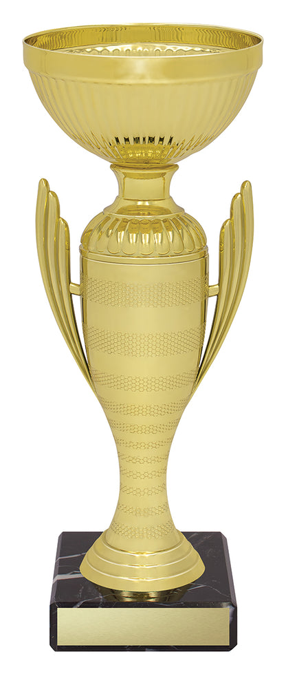 Guardian Cup