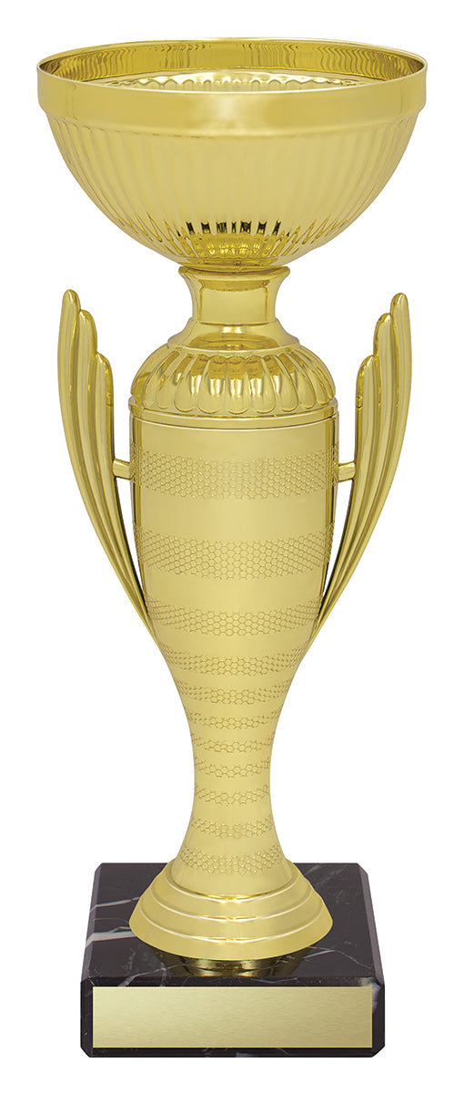 Guardian Cup