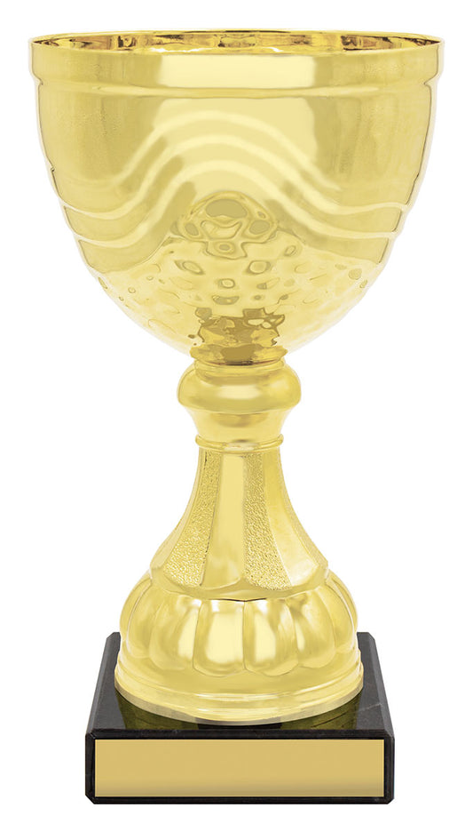 Community Cup