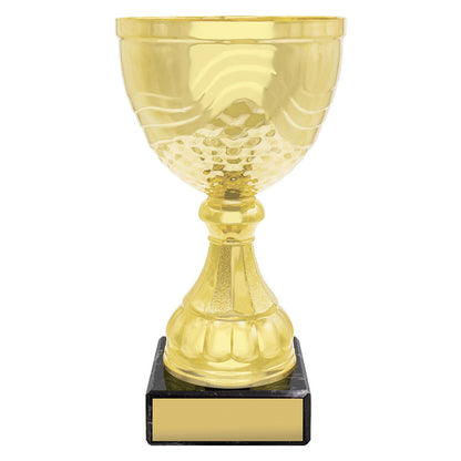 Community Cup