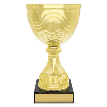 Community Cup