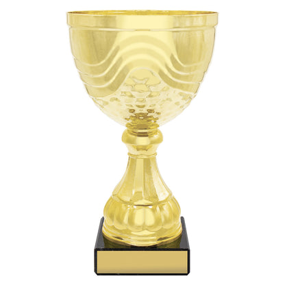 Community Cup