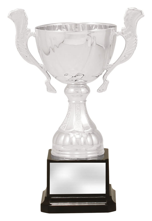 Silver Turin