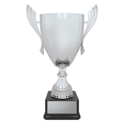 Ironside Cup - Silver