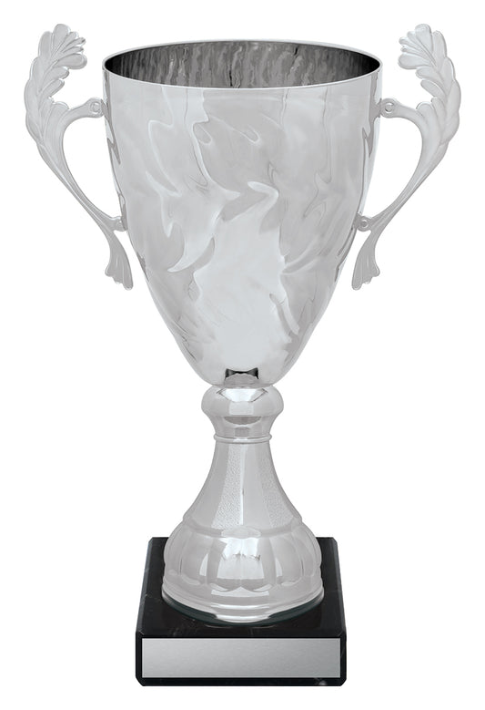 Silver Eternal Cups