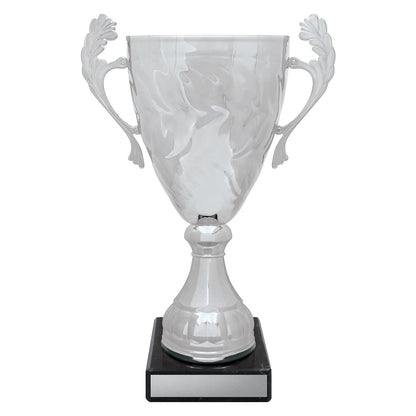 Silver Eternal Cups