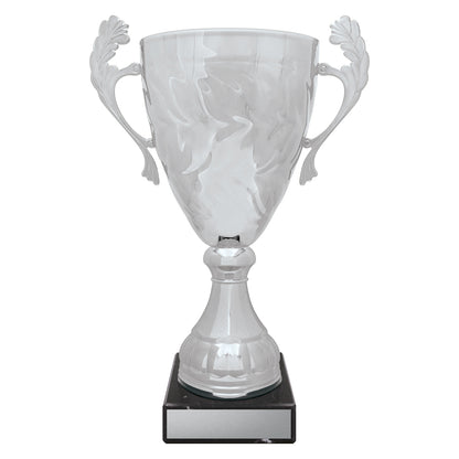 Silver Eternal Cups