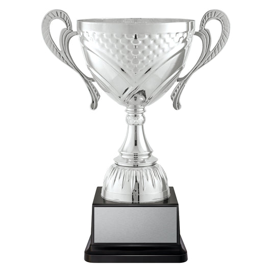 Welcome Cup - Silver