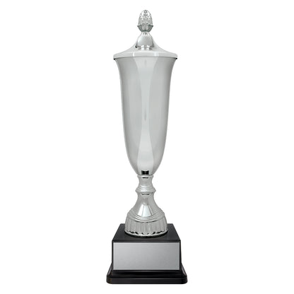 Arsenal Cup