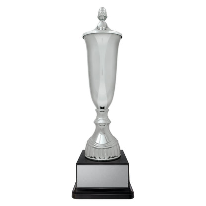 Arsenal Cup