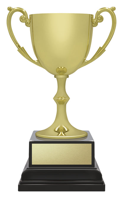 Ace Recognition Gold