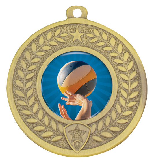 Distinction - Volleyball