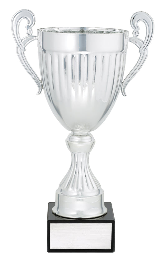 Endeavour - Silver